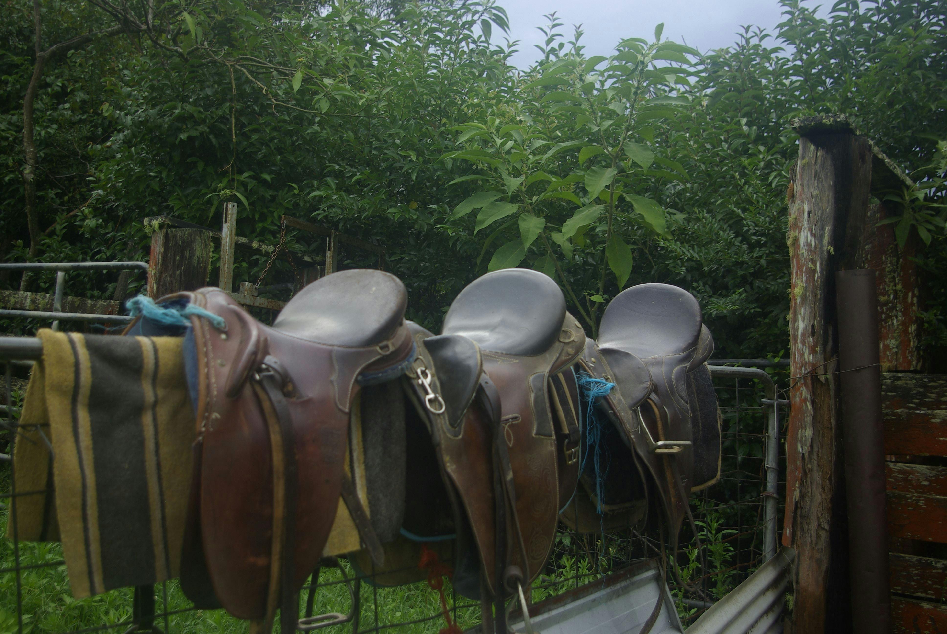 Tirrintippin stock saddles