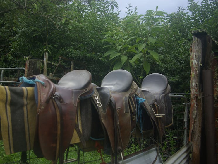 Tirrintippin stock saddles