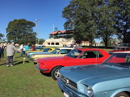 Things To Do In Fitzroy Falls Fitzroy Falls Attractions