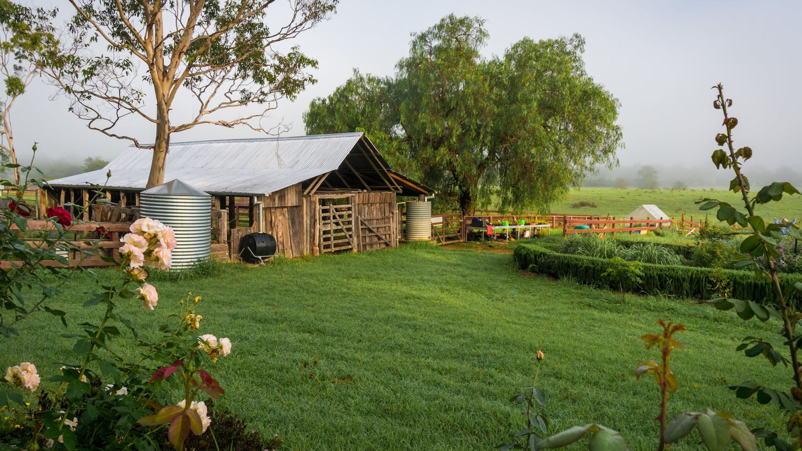 Camden Town Farm