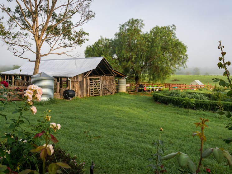 Camden Town Farm