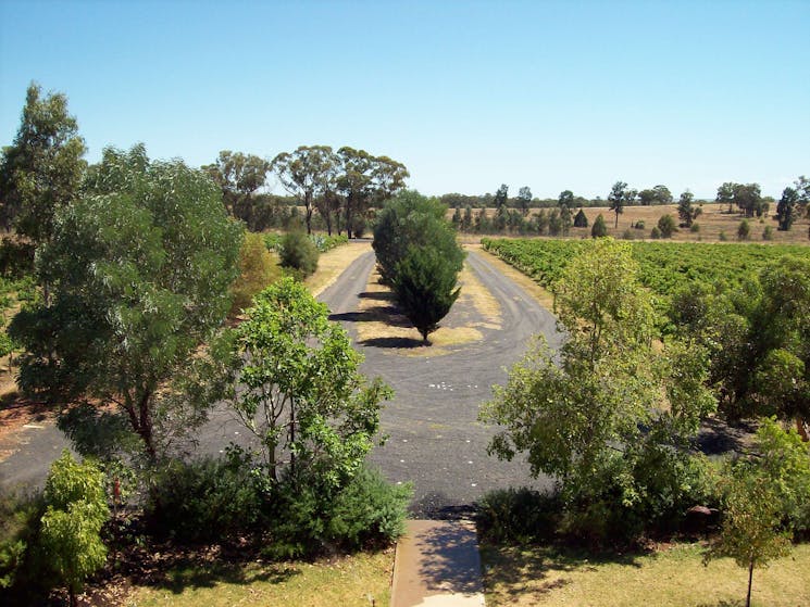 Nice wide driveway for coaches and caaravans