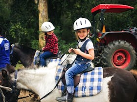 Valhalla Horse Riding Valhalla Horse Riding