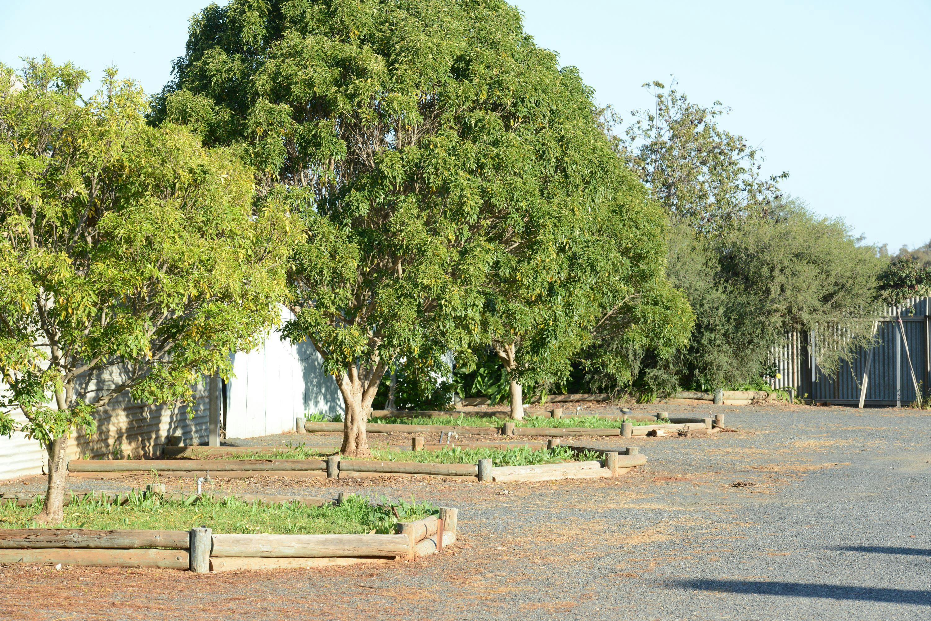 タリンバホテル