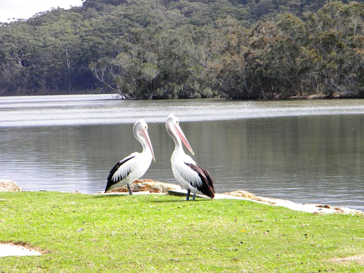 Lake Conjola Post Office Store
