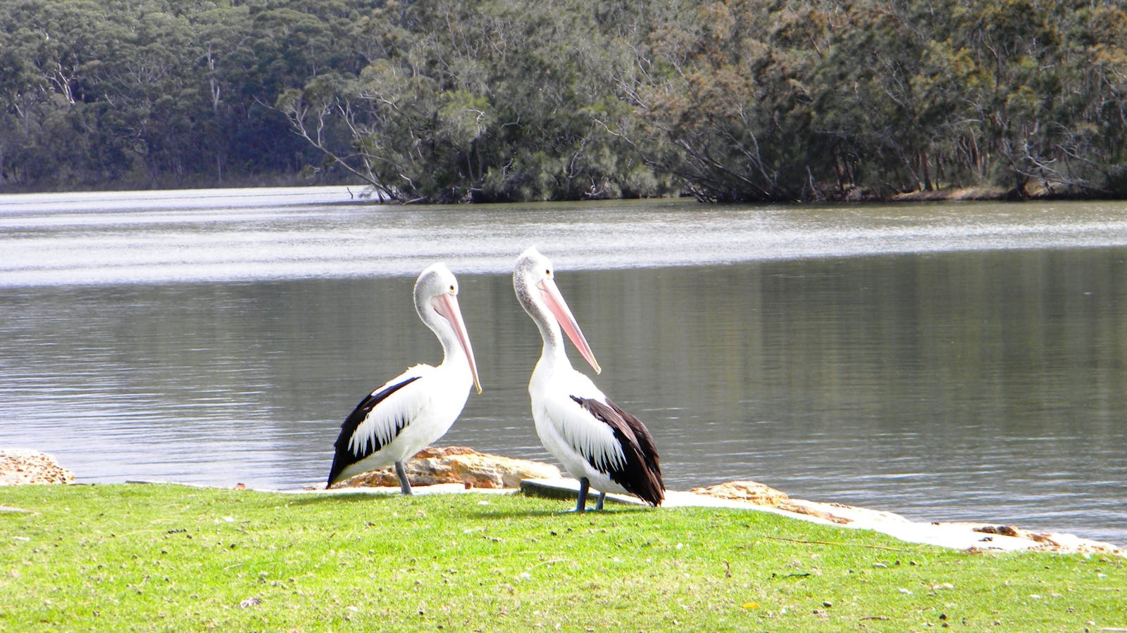 Lake Conjola Post Office Store