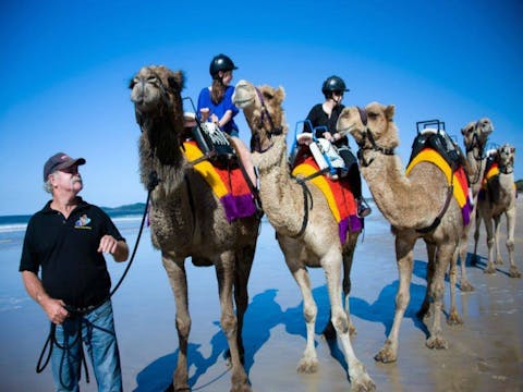 Coffs Harbour Activities | NSW Holidays & Accommodation ...