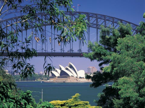 Bespoke Sydney Sider