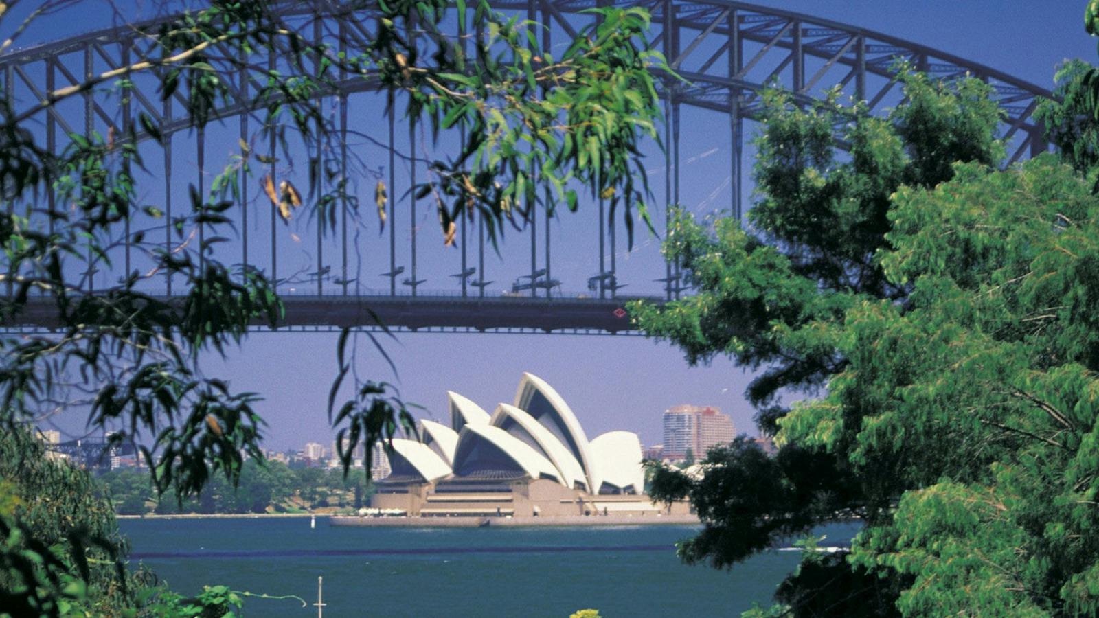 Sydney like a local
