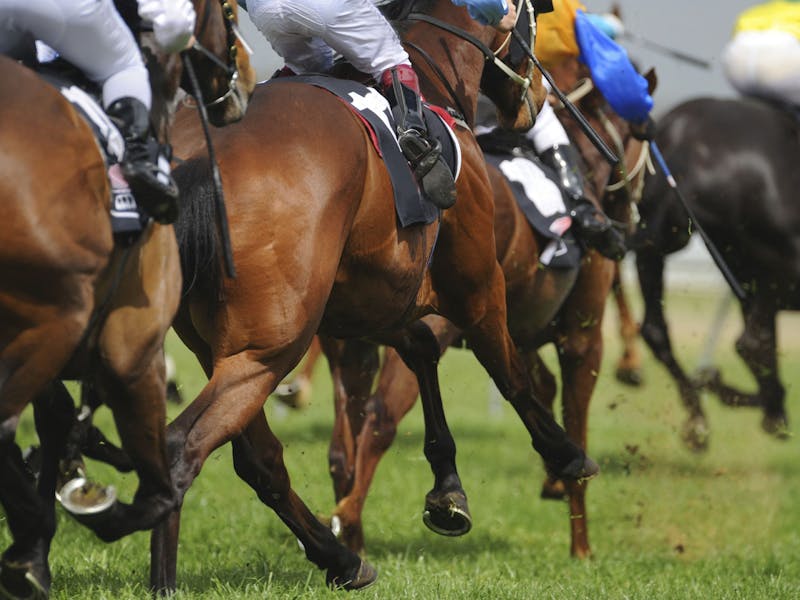 Shoalhaven City Turf Club