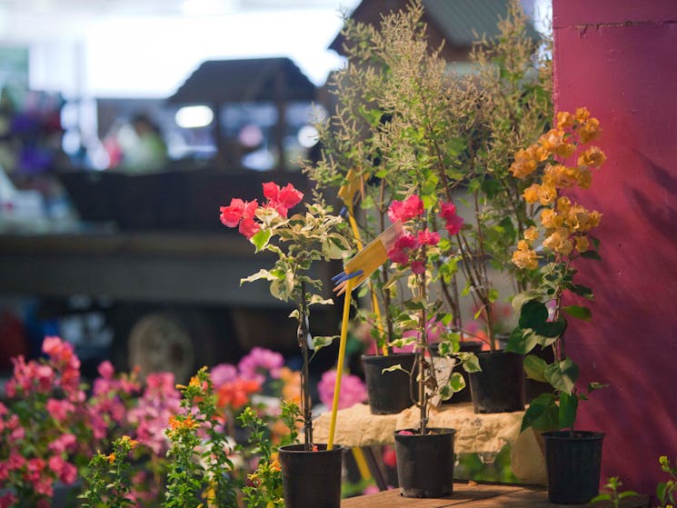 Lismore Car Boot Market