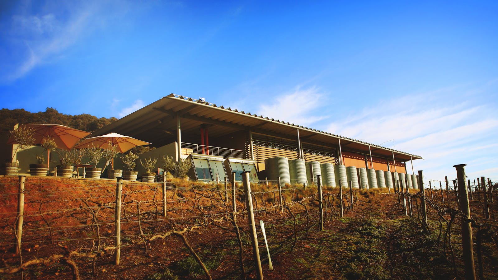 Lerida Estate