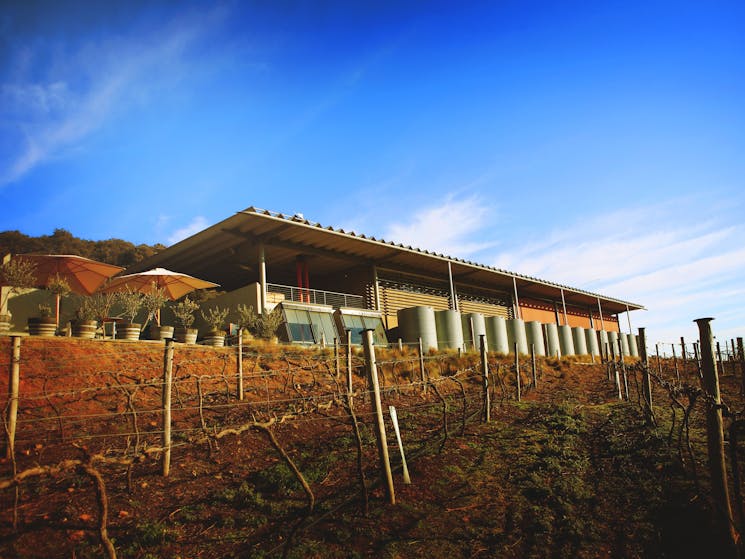 Lerida Estate building with vineyard in the foreground