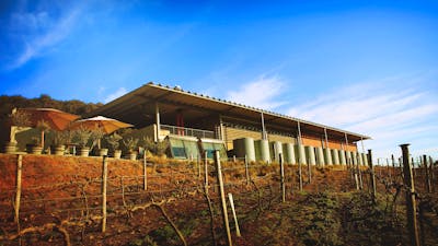 Lerida Estate building with vineyard in the foreground