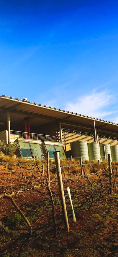 Lerida Estate building with vineyard in the foreground