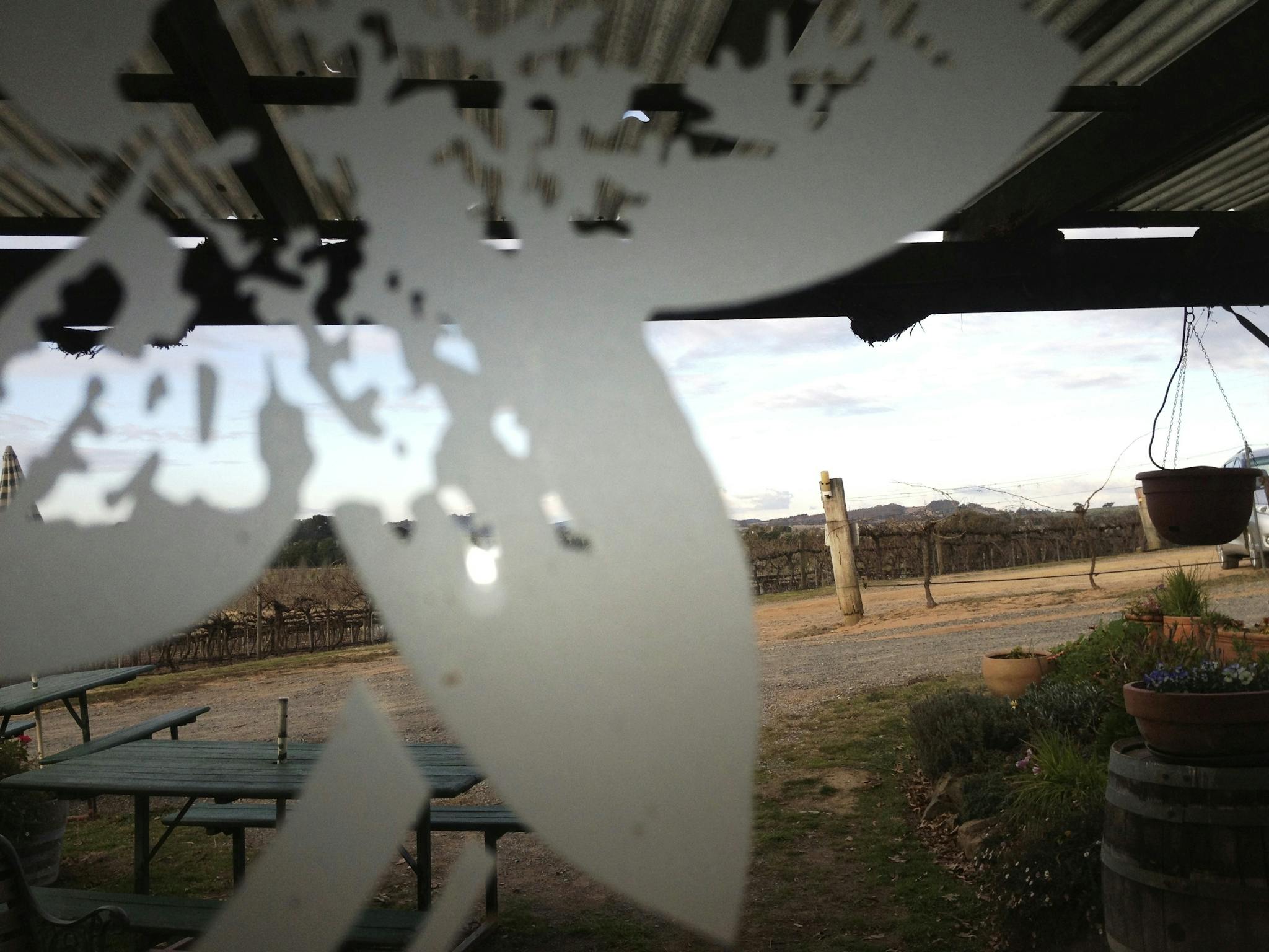 Jeir Creek views from the cellar door