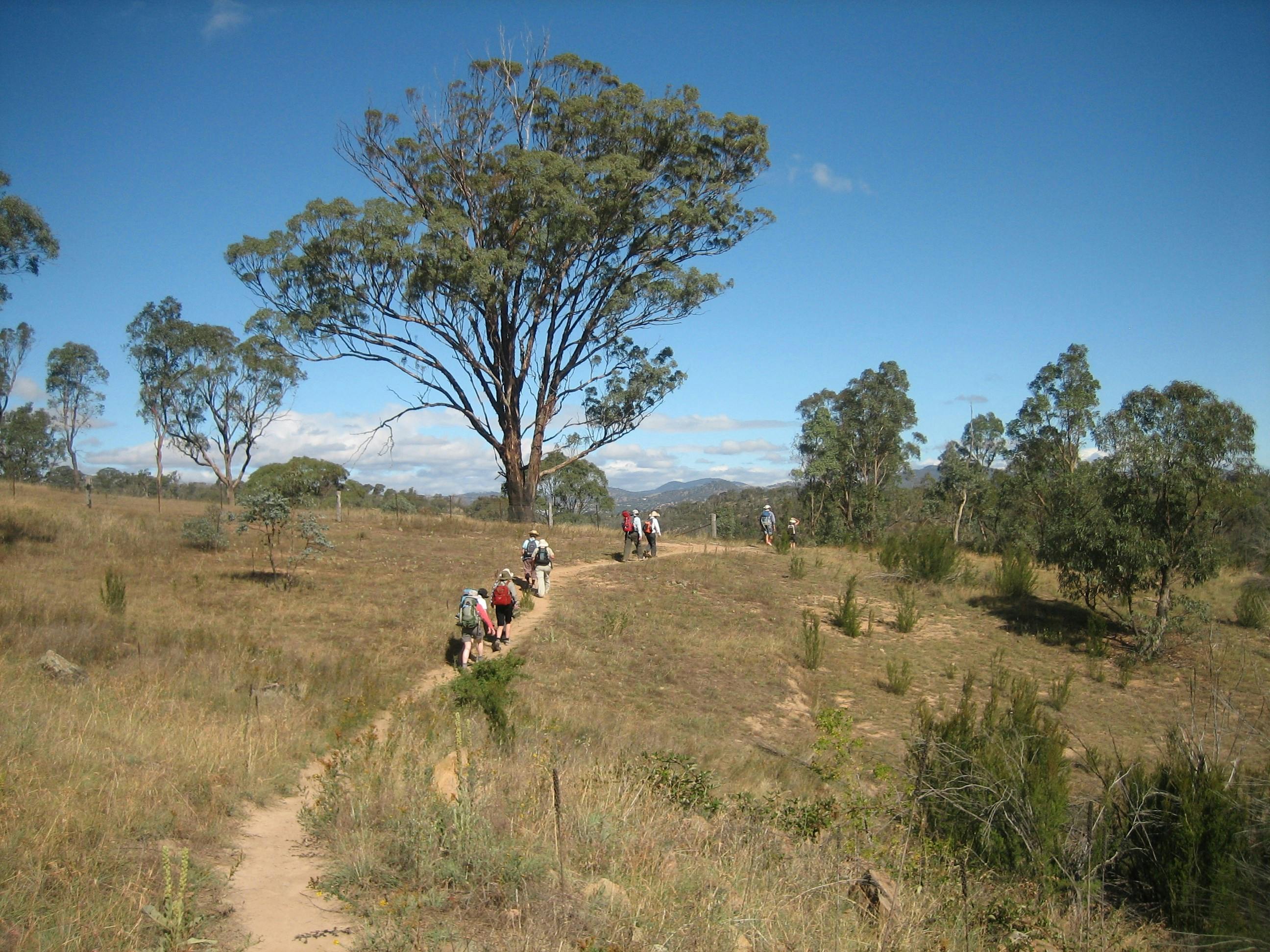 Kambah Pool to Red Rocks Gorge walk