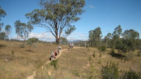 Kambah Pool to Pine Island Walking Trail