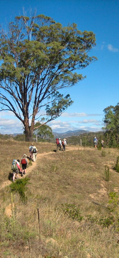 Kambah Pool to Red Rocks Gorge walk