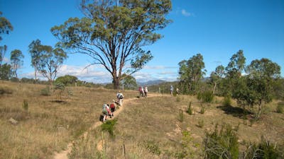 Kambah Pool to Red Rocks Gorge walk