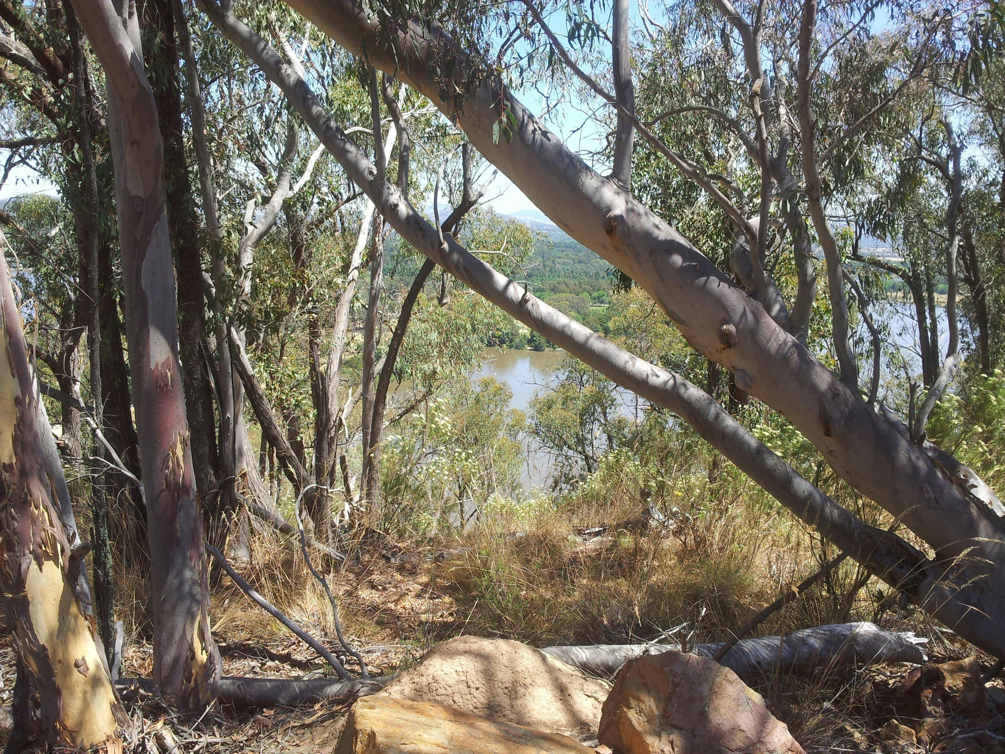 Views from the bush walk