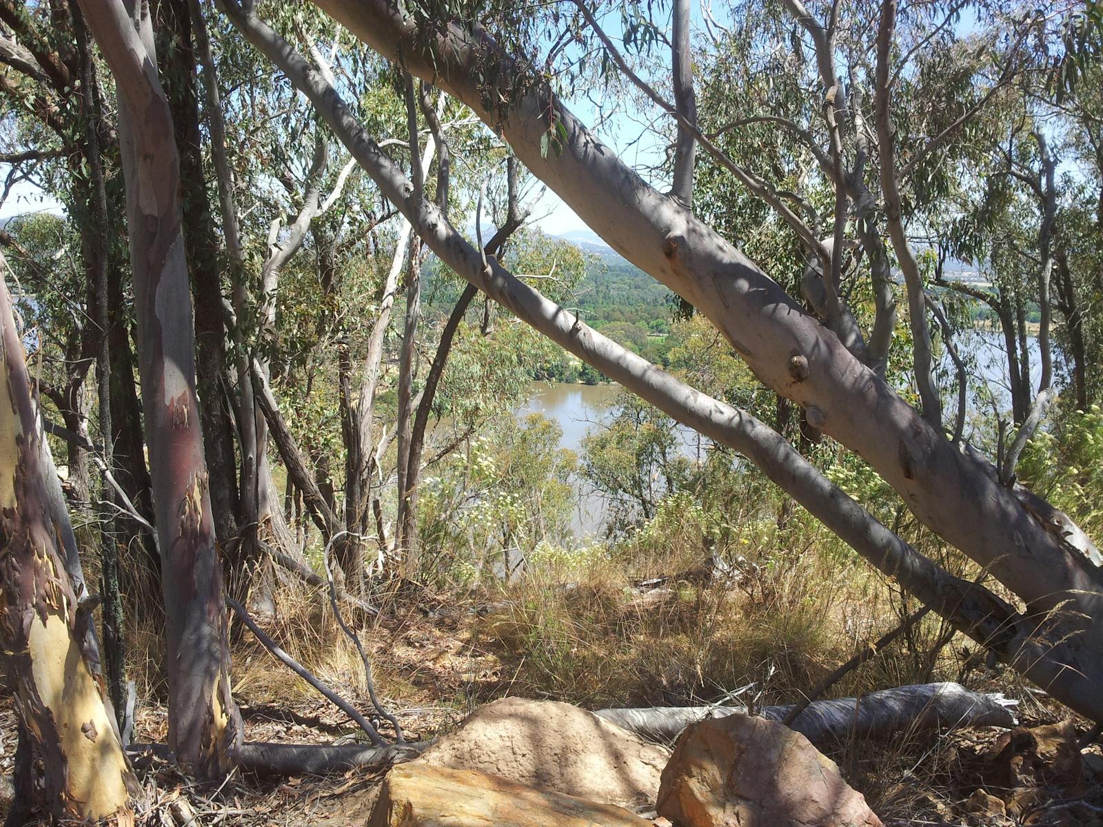 Views from the bush walk