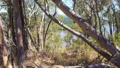 Views from the bush walk