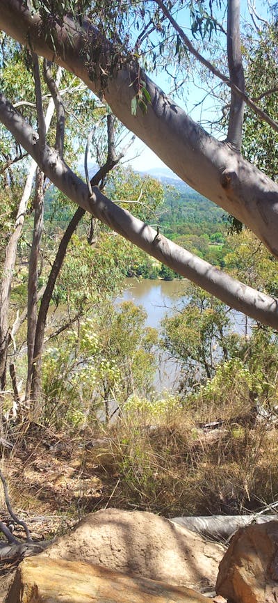 Views from the bush walk