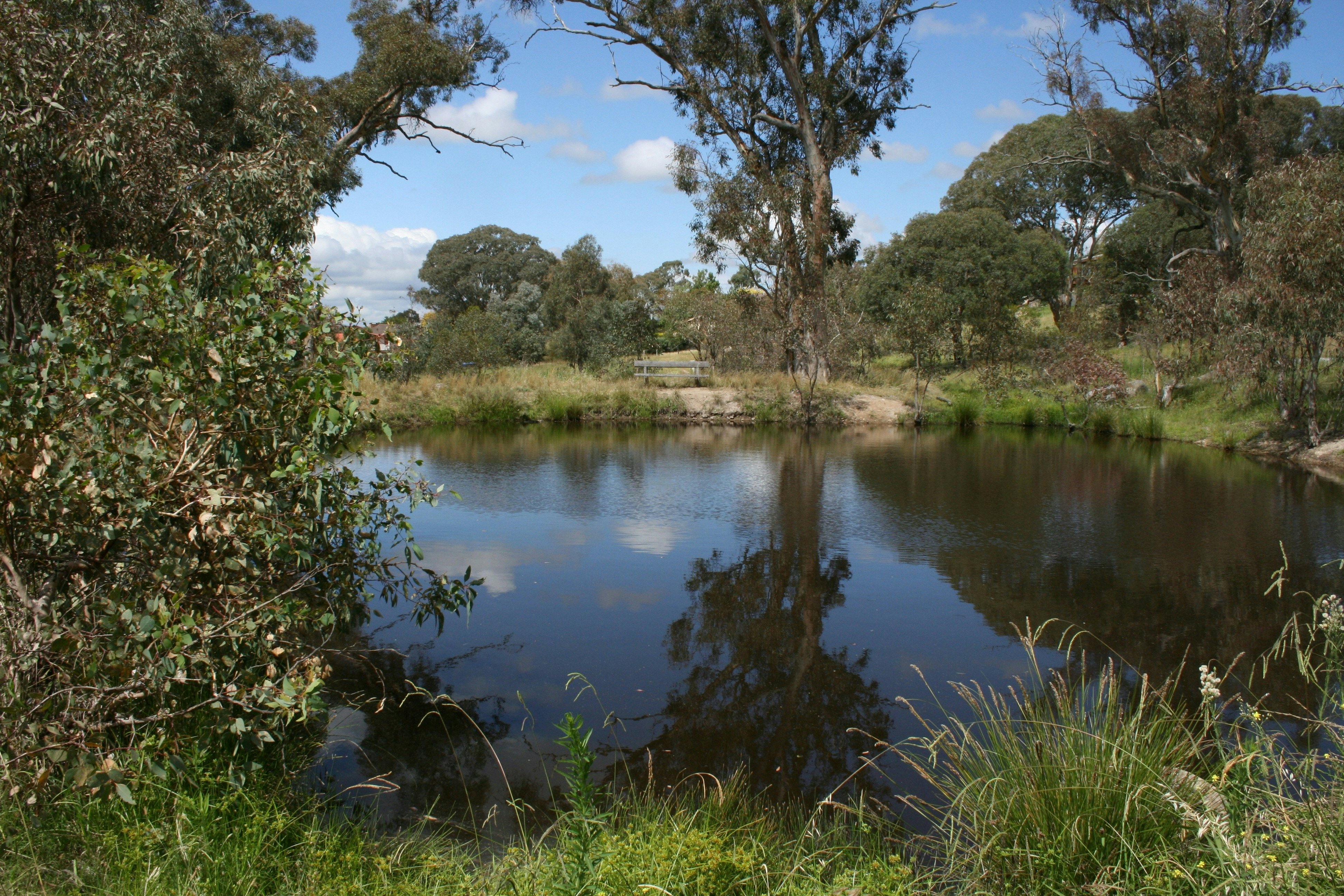 Cooleman Ridge near the dam