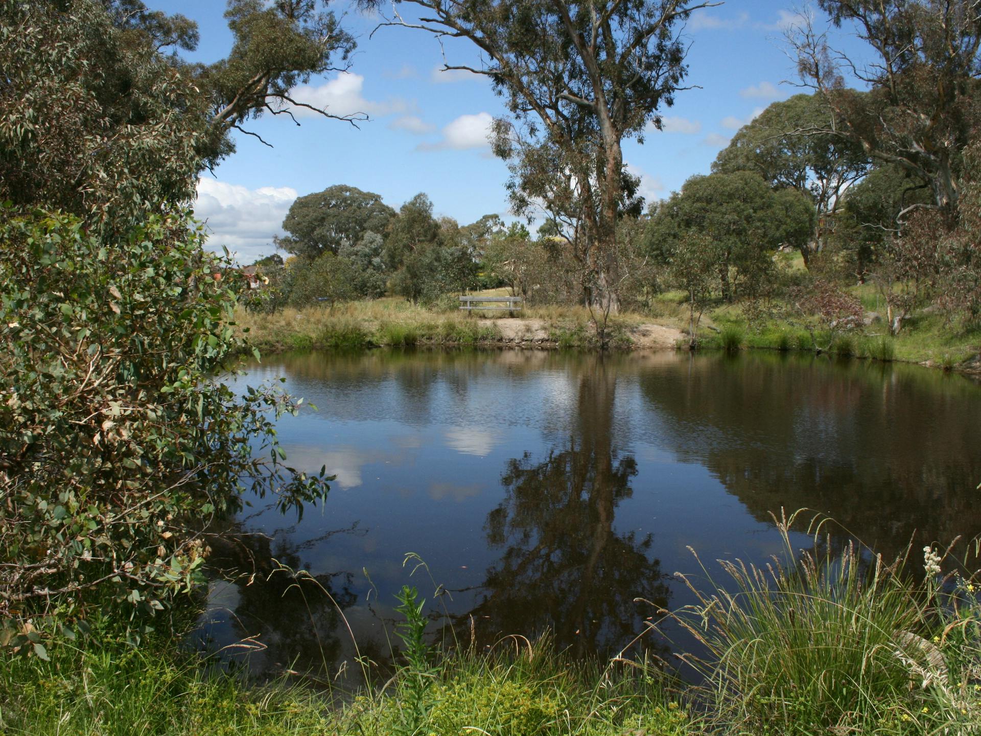 Cooleman Ridge in Chapman - The Fold: Your Guide to Everything Regional ...