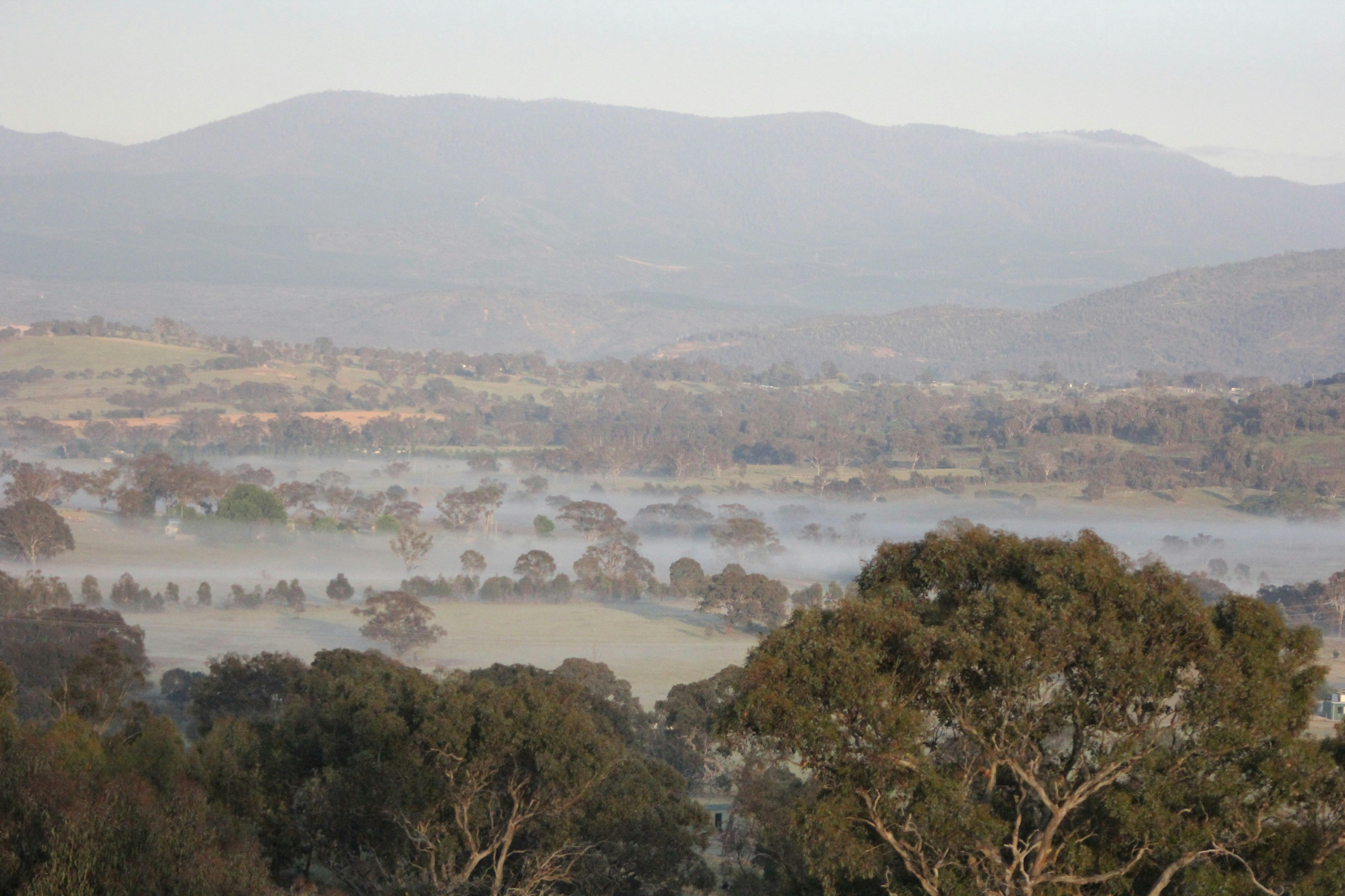 Views from Cooleman Ridge