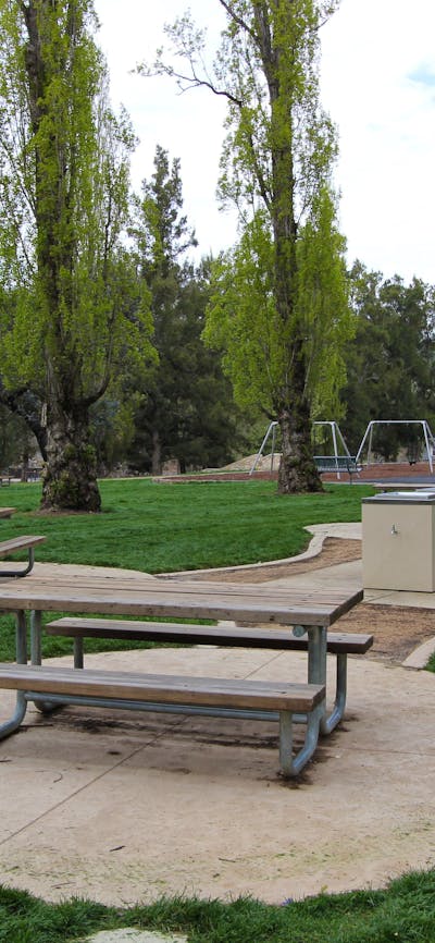 Picnic tables and barbeques