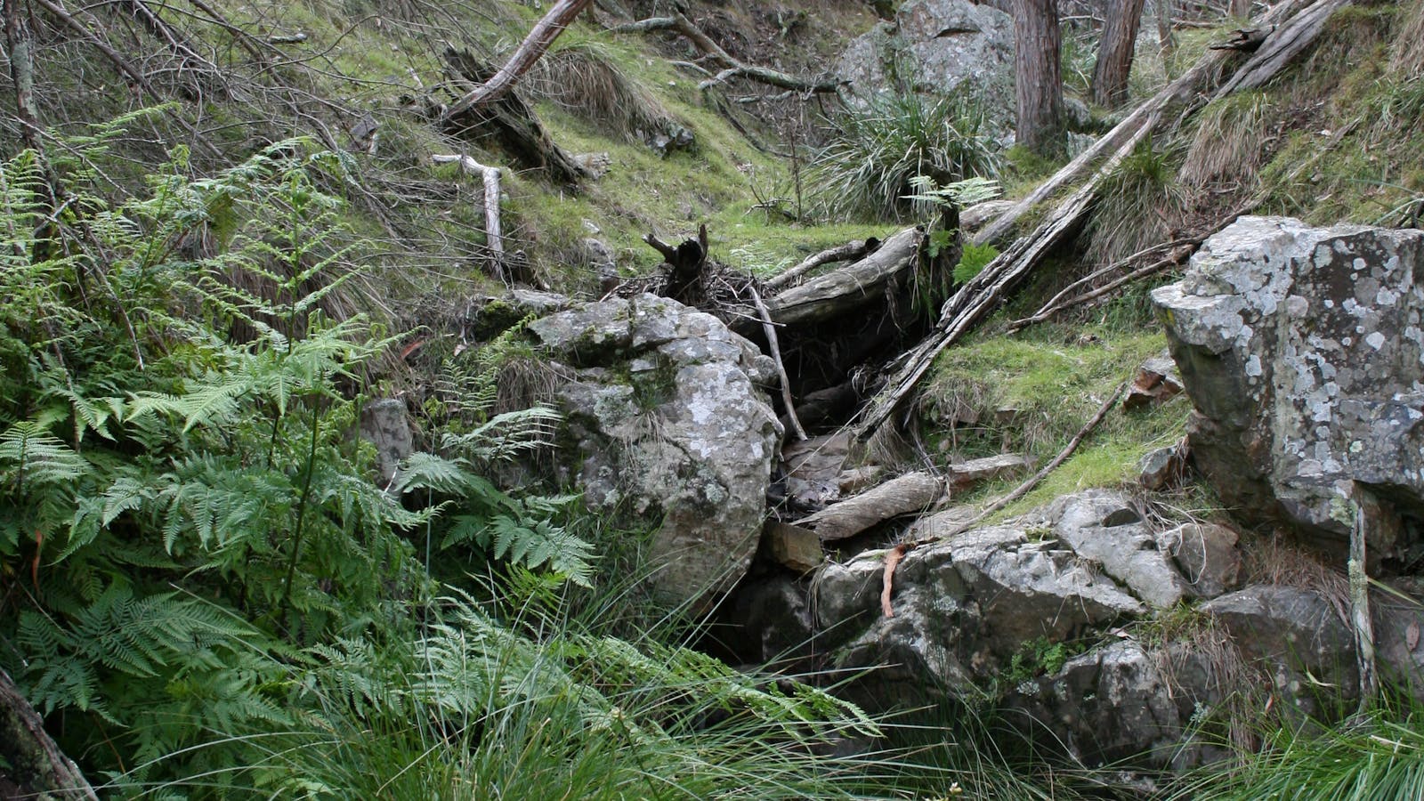 Black Mountain
