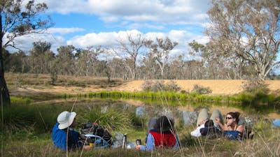Friends relaxing in the nature park