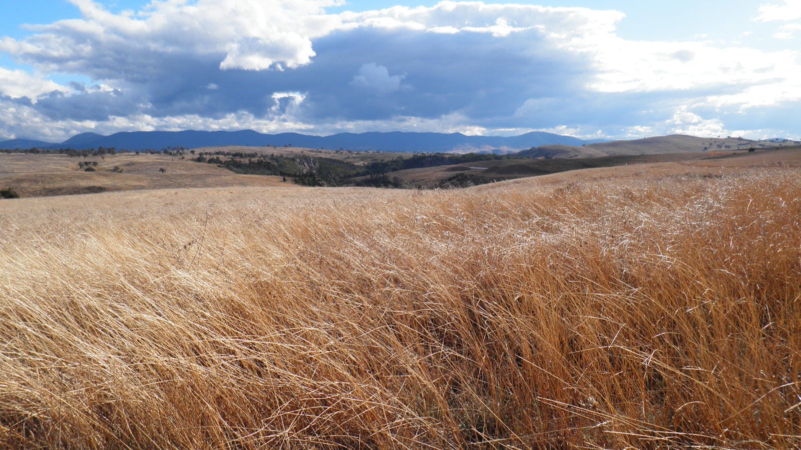 Canberra Nature Park
