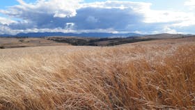 Canberra Nature Park