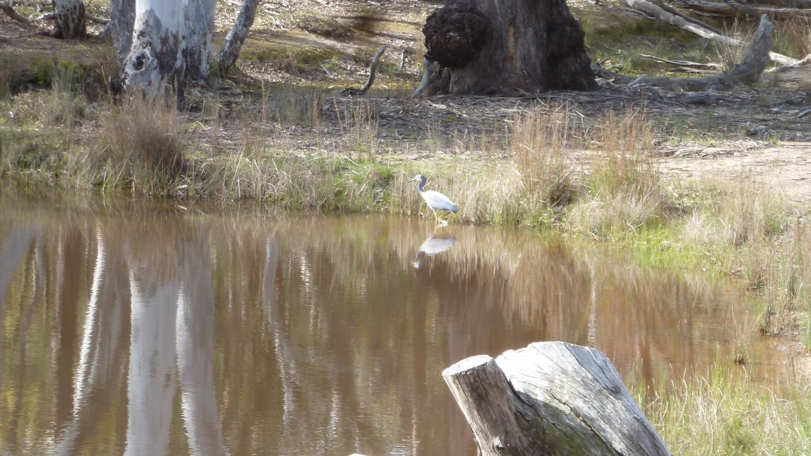 Canberra Nature Park