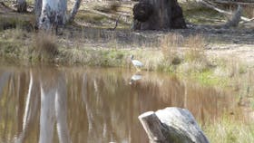 Canberra Nature Park