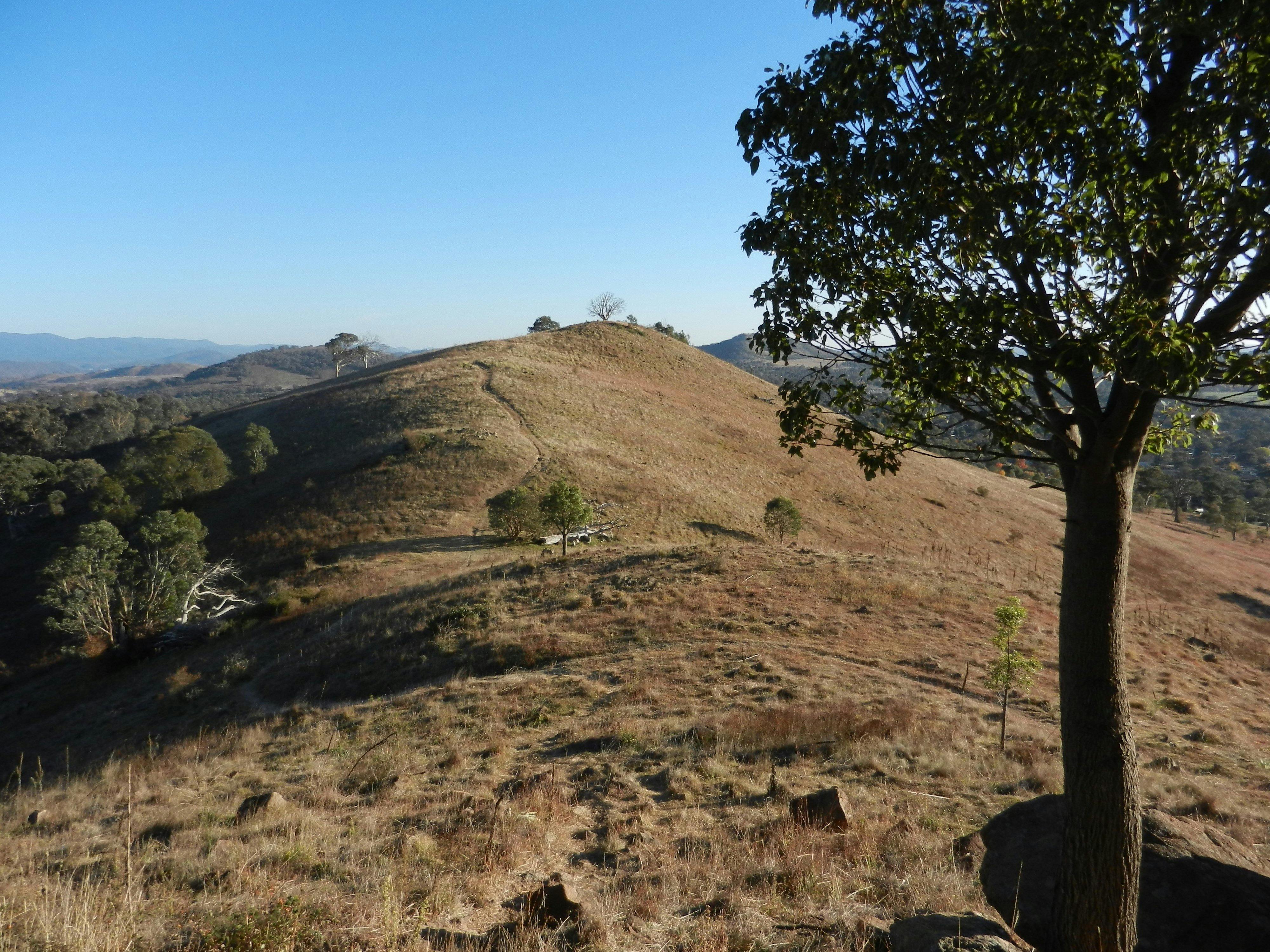 Urambi Hills walking track