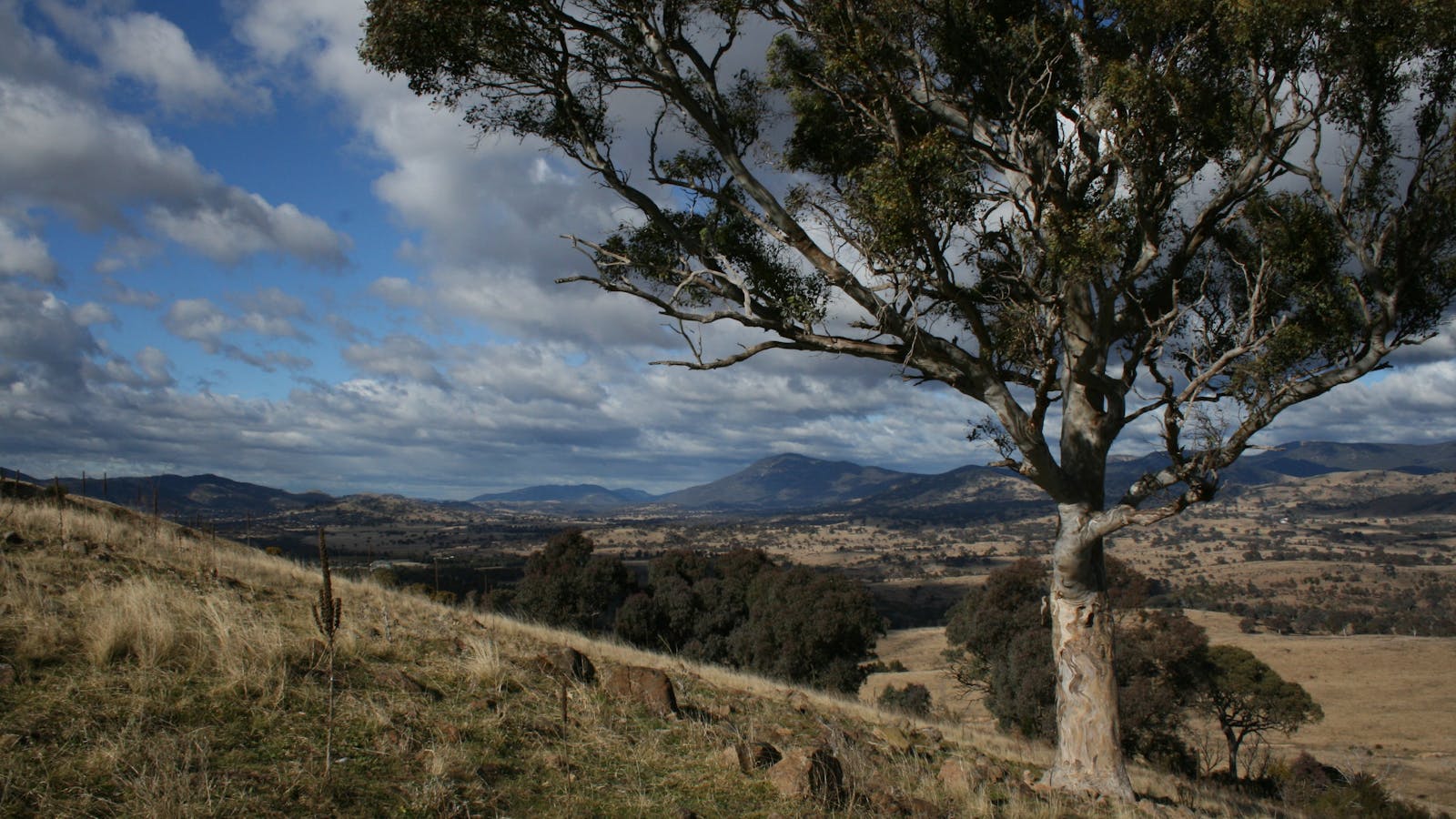 Urambi Hills