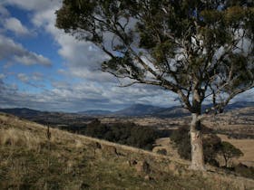 Urambi Hills