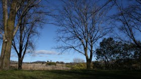 Pine Island to Point Hut Reserve