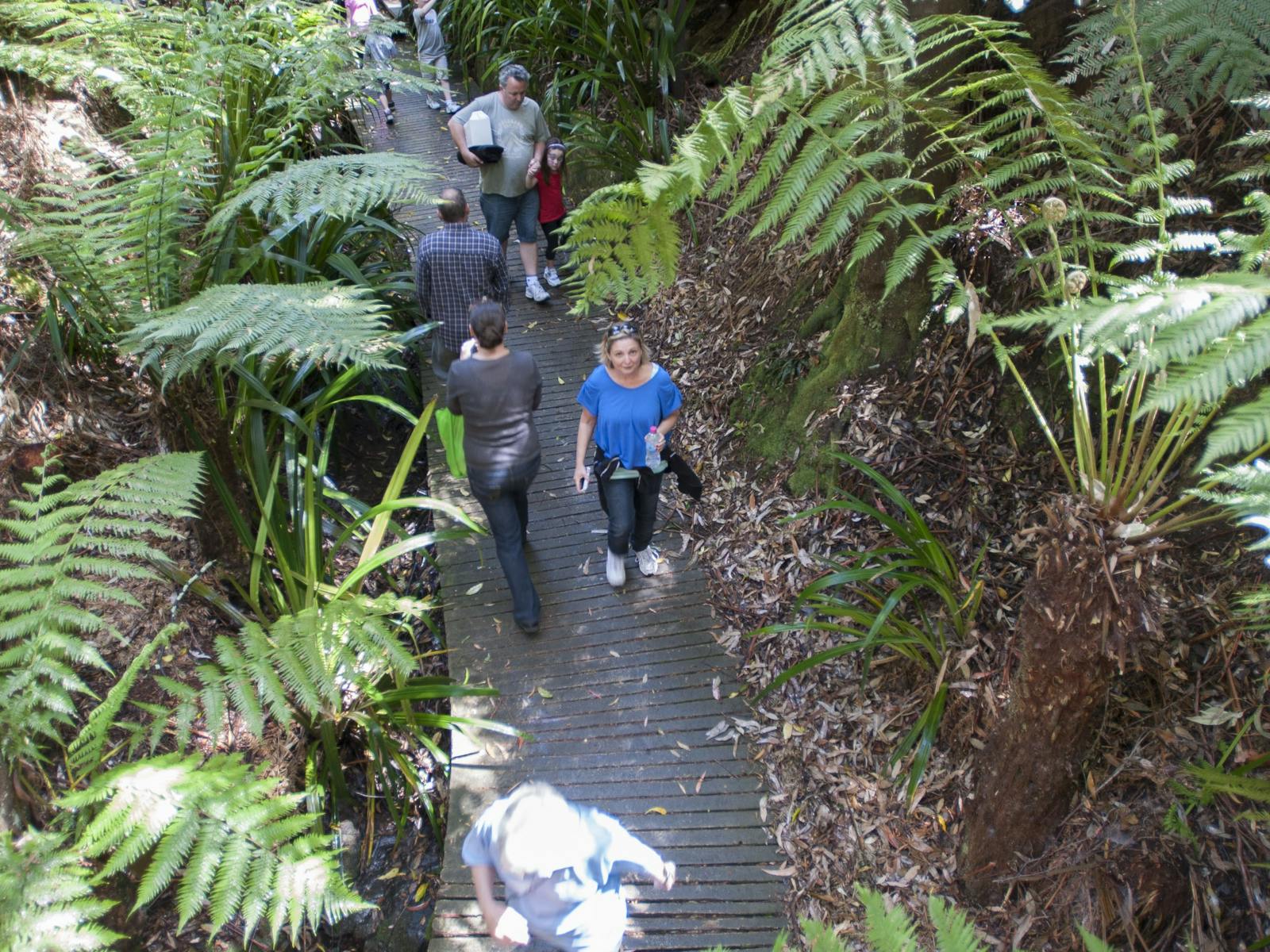 Australian National Botanic Garden
