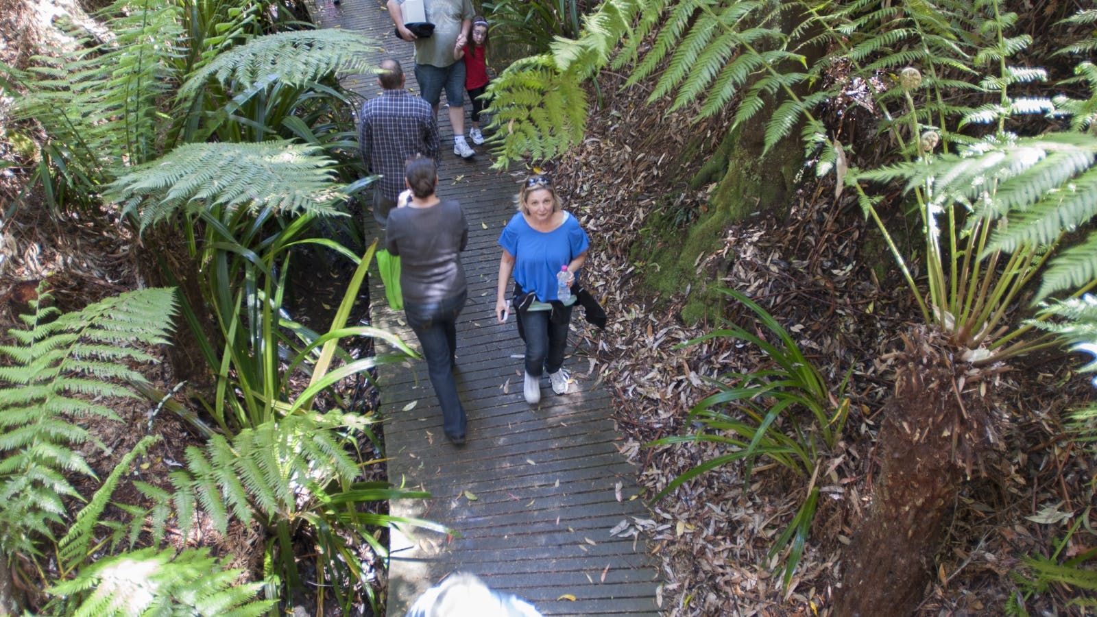 Australian National Botanic Gardens