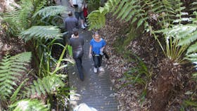Australian National Botanic Gardens