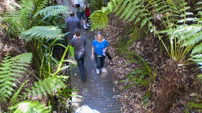 Australian National Botanic Garden