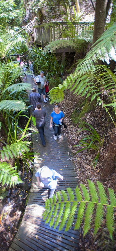 Australian National Botanic Garden