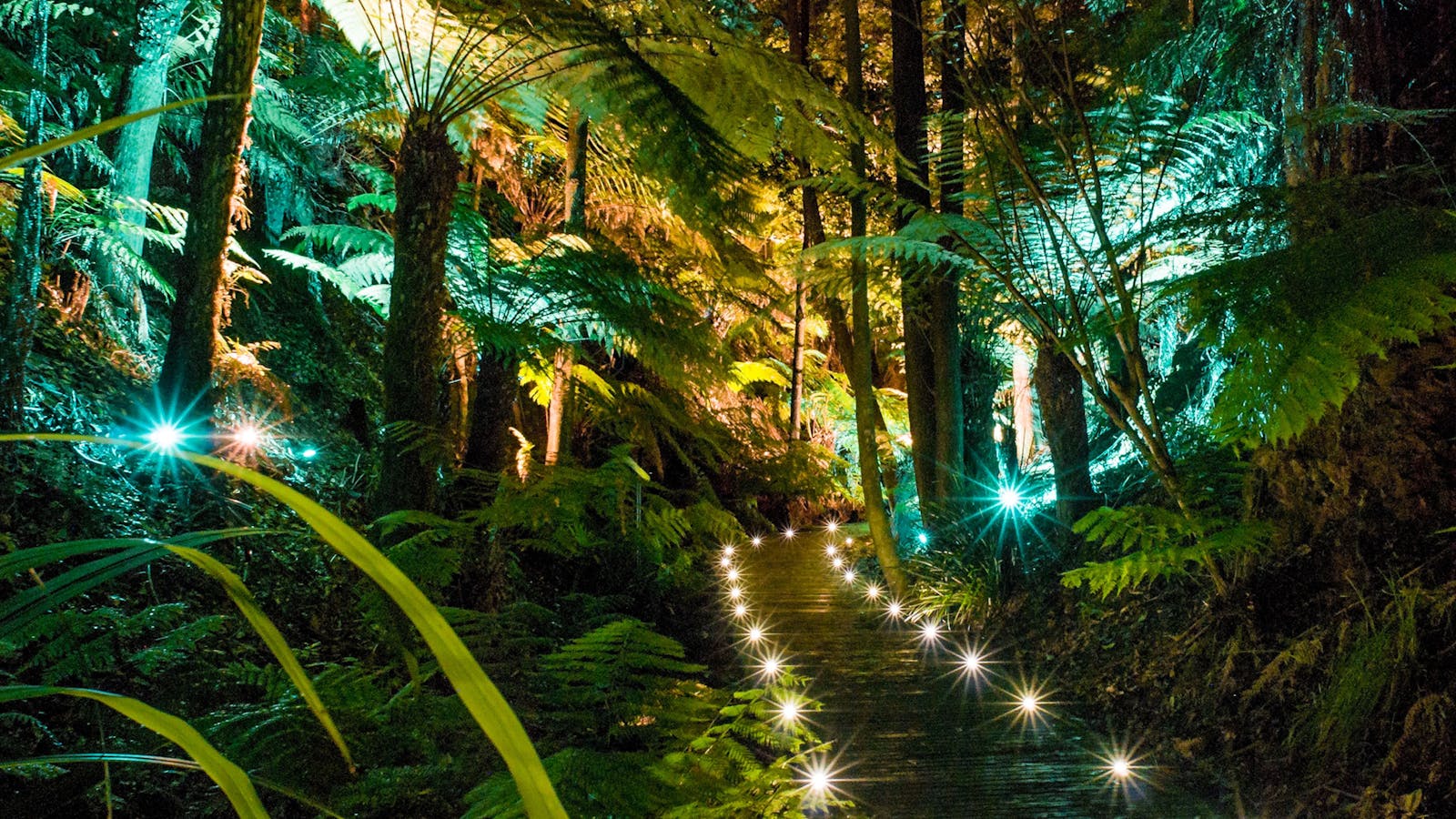 Australian National Botanic Gardens