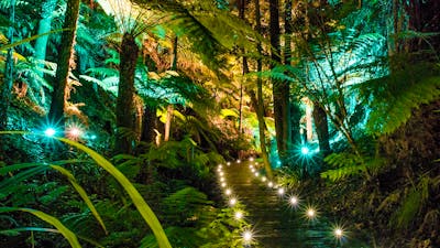 AfterDark tour lights