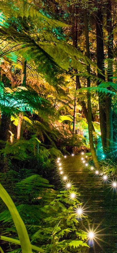 AfterDark tour lights